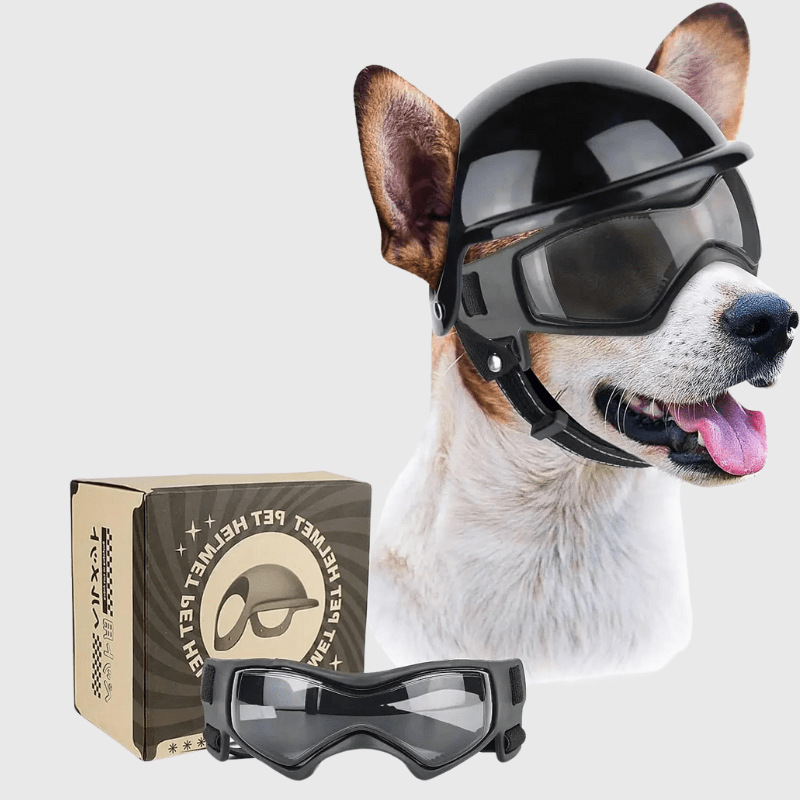 https://cdn.shopify.com/s/files/1/0763/9767/4819/files/Casque_de_moto_chien_avec_des_lunettes_Colores.png?v=1757086384