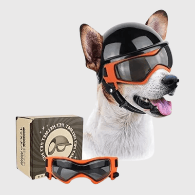 https://cdn.shopify.com/s/files/1/0763/9767/4819/files/Casque_de_moto_chien_avec_des_lunettes_Colores_orane.png?v=1757086384