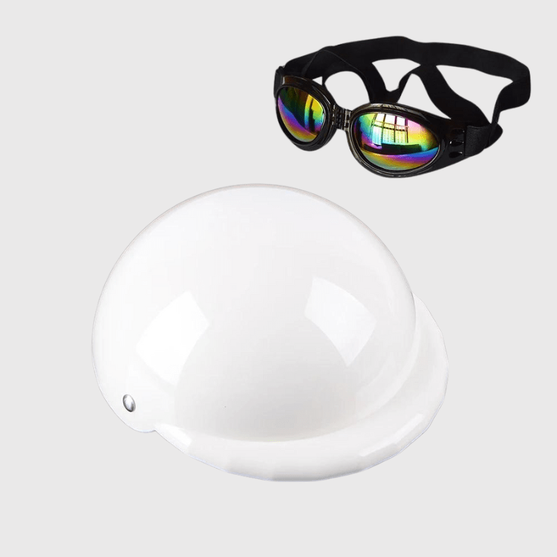 https://cdn.shopify.com/s/files/1/0763/9767/4819/files/Casque_de_moto_multicouleur_pour_chien_blanc.png?v=1770645877
