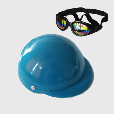 https://cdn.shopify.com/s/files/1/0763/9767/4819/files/Casque_de_moto_multicouleur_pour_chien_bleu.png?v=1770645877