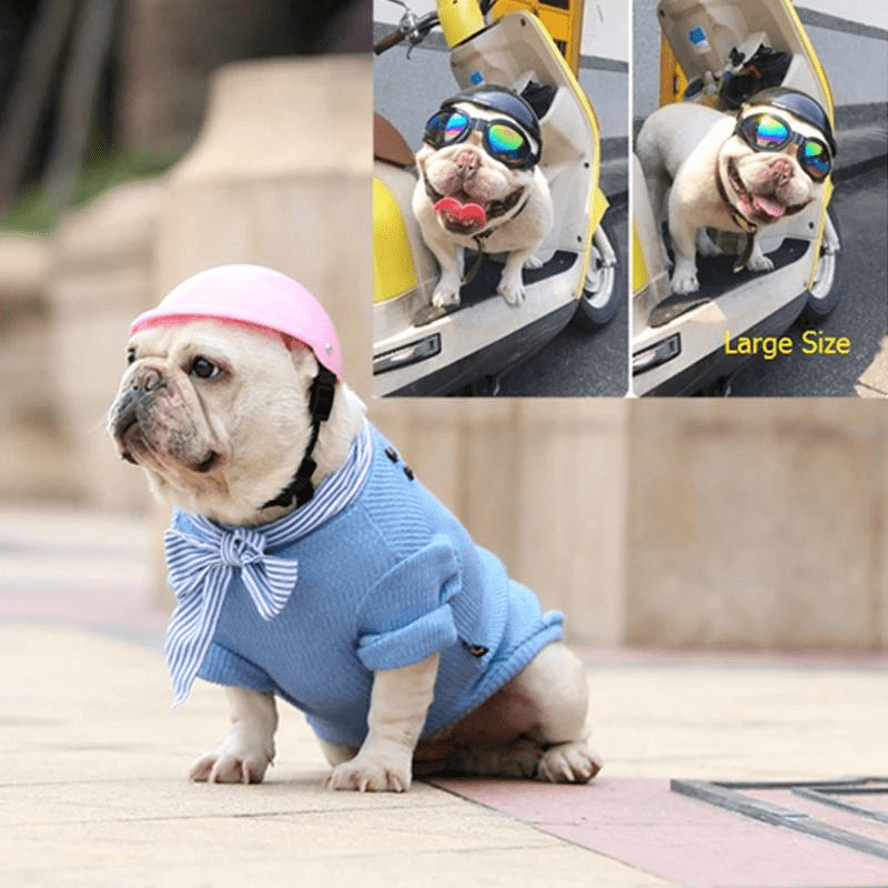 https://cdn.shopify.com/s/files/1/0763/9767/4819/files/Casque_de_moto_multicouleur_pour_chien_bouledogue.png?v=1770645877