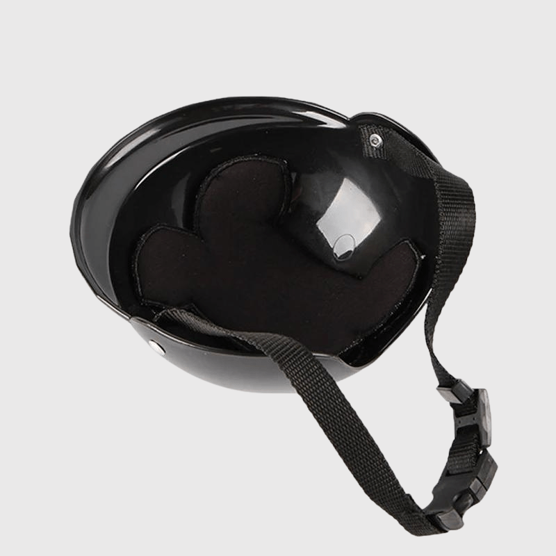 https://cdn.shopify.com/s/files/1/0763/9767/4819/files/Casque_de_moto_multicouleur_pour_chien_dessous.png?v=1770645877