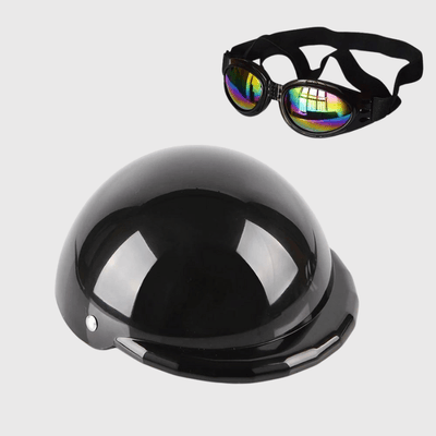 https://cdn.shopify.com/s/files/1/0763/9767/4819/files/Casque_de_moto_multicouleur_pour_chien_noir.png?v=1770645877