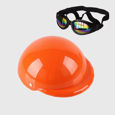 https://cdn.shopify.com/s/files/1/0763/9767/4819/files/Casque_de_moto_multicouleur_pour_chien_orange.png?v=1770645877