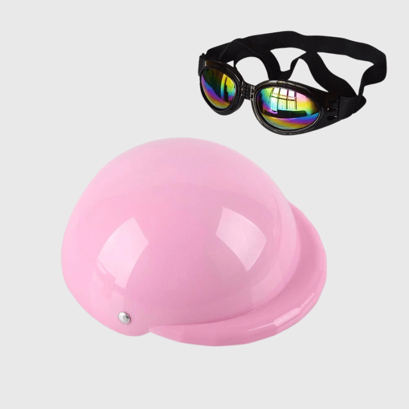 https://cdn.shopify.com/s/files/1/0763/9767/4819/files/Casque_de_moto_multicouleur_pour_chien_rose.png?v=1770645877