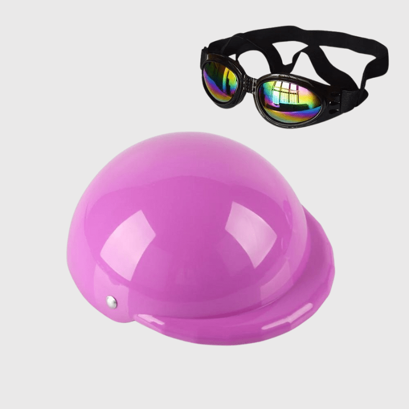 https://cdn.shopify.com/s/files/1/0763/9767/4819/files/Casque_de_moto_multicouleur_pour_chien_violet.png?v=1770645877