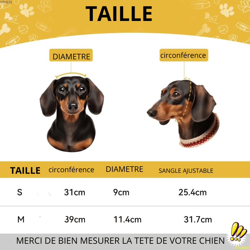 https://cdn.shopify.com/s/files/1/0763/9767/4819/files/Casque_de_moto_pour_petit_chien_taille.png?v=1756917689