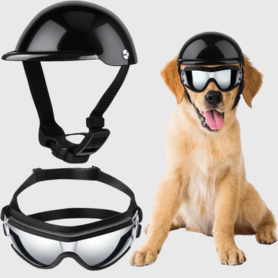 https://cdn.shopify.com/s/files/1/0763/9767/4819/files/Casque_et_lunette_de_moto_Noir_pour_chien_chiot.png?v=1757084658