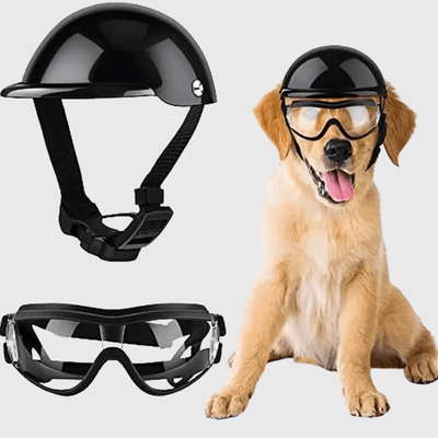 https://cdn.shopify.com/s/files/1/0763/9767/4819/files/Casque_et_lunette_de_moto_Noir_pour_chien_transparent.png?v=1757084658