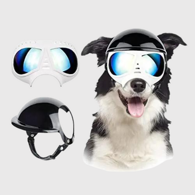 https://cdn.shopify.com/s/files/1/0763/9767/4819/files/Casque_et_lunette_moto_pour_chien_blanc.png?v=1770648297