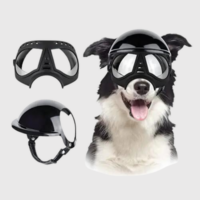 https://cdn.shopify.com/s/files/1/0763/9767/4819/files/Casque_et_lunette_moto_pour_chien_border_collie.png?v=1770648297