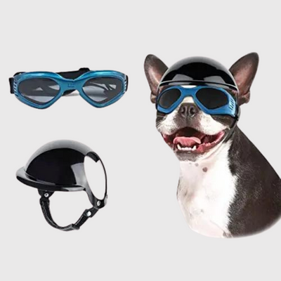 https://cdn.shopify.com/s/files/1/0763/9767/4819/files/Casque_et_lunette_moto_pour_chien_bouledogue.png?v=1770648297