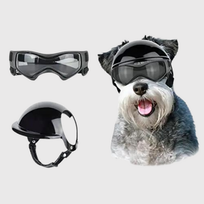 https://cdn.shopify.com/s/files/1/0763/9767/4819/files/Casque_et_lunette_moto_pour_chien_caniche.png?v=1770648297