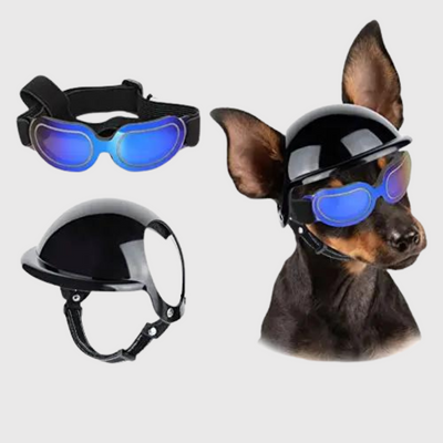 https://cdn.shopify.com/s/files/1/0763/9767/4819/files/Casque_et_lunette_moto_pour_chien_loulou.png?v=1770648297