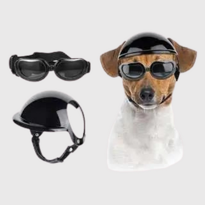 https://cdn.shopify.com/s/files/1/0763/9767/4819/files/Casque_et_lunette_moto_pour_chien_noir.png?v=1770648297