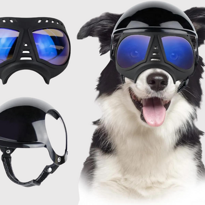 https://cdn.shopify.com/s/files/1/0763/9767/4819/files/Casque_et_lunette_moto_pour_chien_reflet_bleu.png?v=1770648297