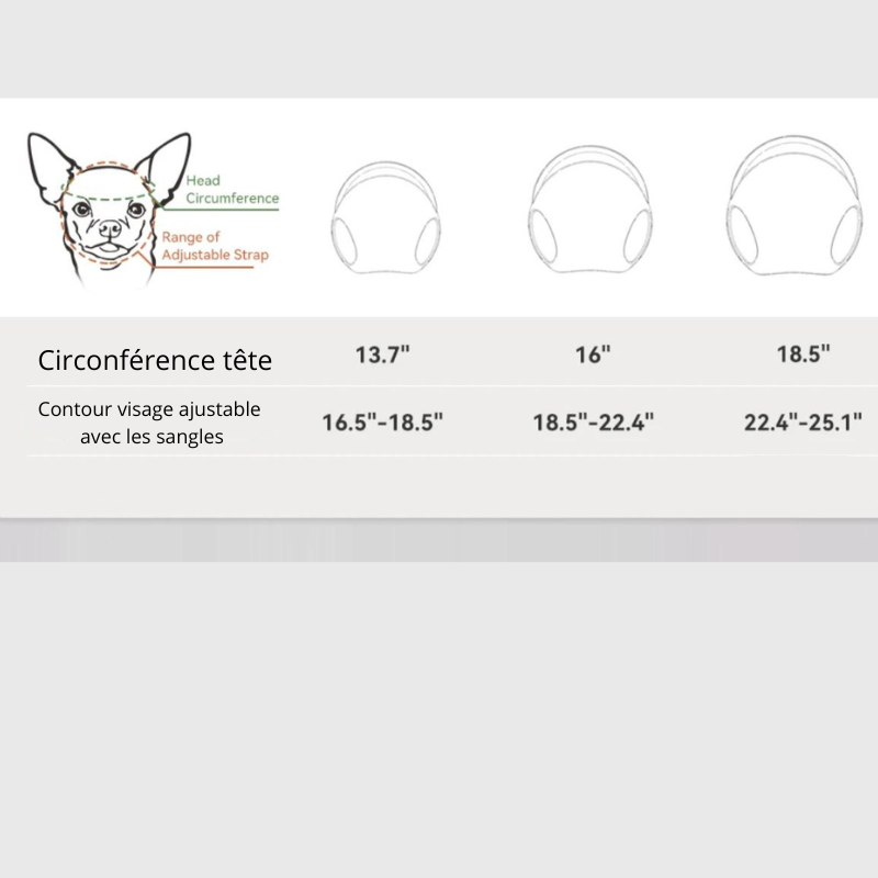 https://cdn.shopify.com/s/files/1/0763/9767/4819/files/Casque_et_lunette_moto_pour_chien_taille.png?v=1770648297