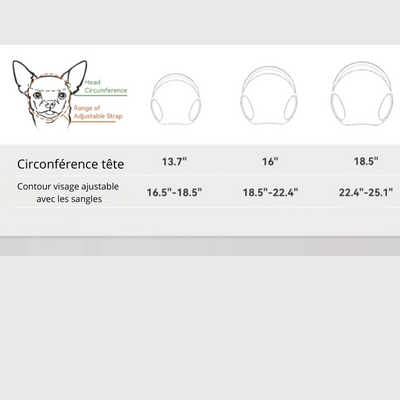 https://cdn.shopify.com/s/files/1/0763/9767/4819/files/Casque_et_lunette_moto_pour_chien_taille.png?v=1770648297
