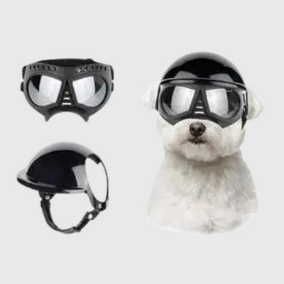https://cdn.shopify.com/s/files/1/0763/9767/4819/files/Casque_et_lunette_moto_pour_chien_toutou.png?v=1770648297