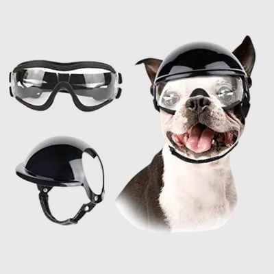 https://cdn.shopify.com/s/files/1/0763/9767/4819/files/Casque_et_lunette_moto_pour_chien_transparent.png?v=1770648297