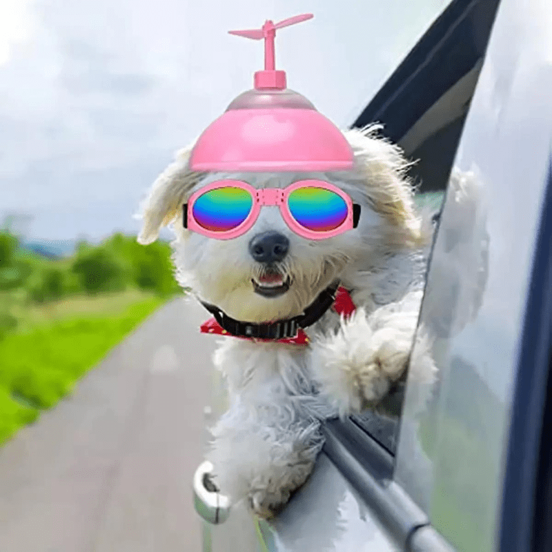 https://cdn.shopify.com/s/files/1/0763/9767/4819/files/Casque_moto_cuir_vintage_pour_chien_caniche.png?v=1770642248
