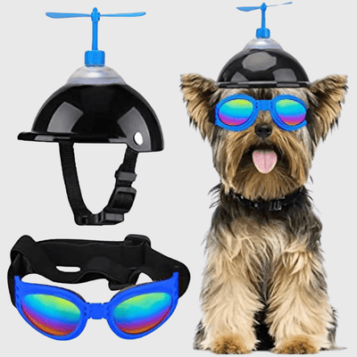 https://cdn.shopify.com/s/files/1/0763/9767/4819/files/Casque_moto_cuir_vintage_pour_chien_ensemble_bleu.png?v=1770642248
