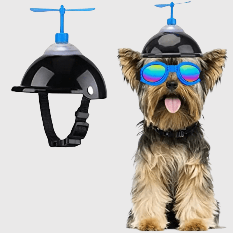 https://cdn.shopify.com/s/files/1/0763/9767/4819/files/Casque_moto_cuir_vintage_pour_chien_yorkshire.png?v=1770642248