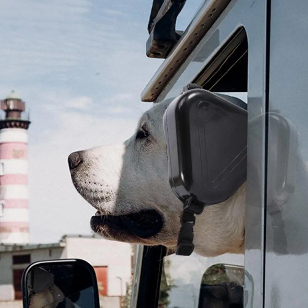 Un casque anti-bruit pour chiens qui bloque les sons des feux d'artifice