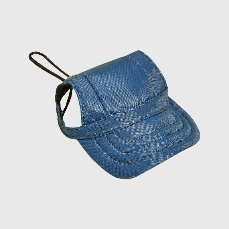 https://cdn.shopify.com/s/files/1/0763/9767/4819/files/Casquette_pour_chien_anti_soleil_blanc_ou_bleu_bleu.png?v=1744208162
