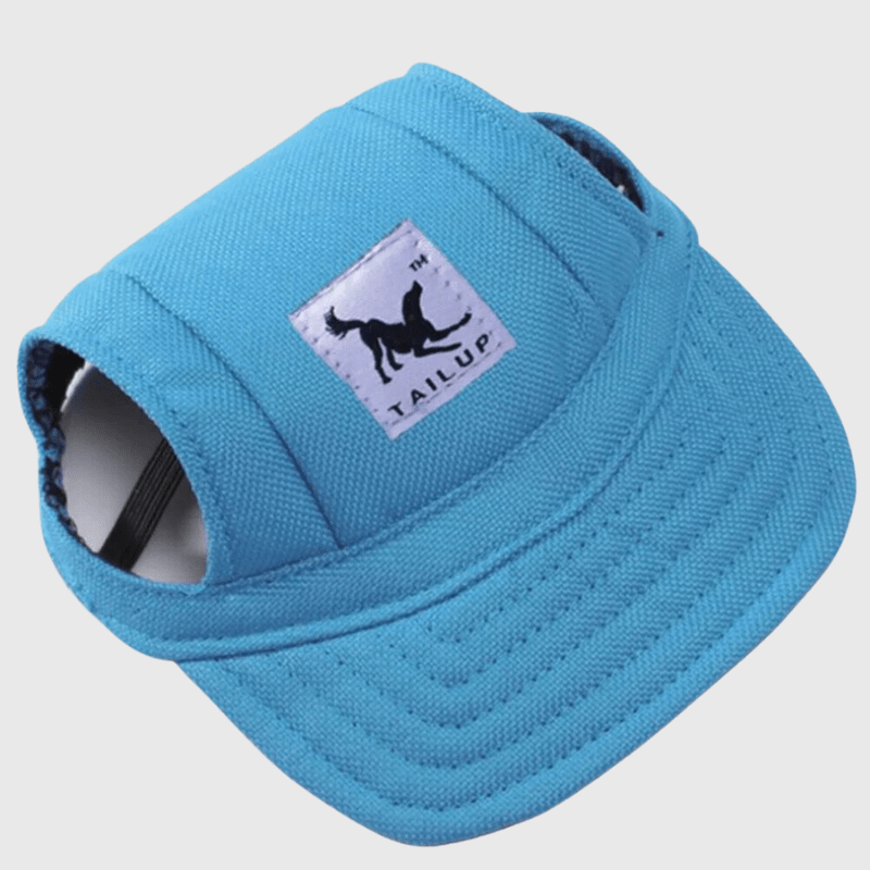 https://cdn.shopify.com/s/files/1/0763/9767/4819/files/Casquette_pour_chien_colore_bleu.png?v=1744206853