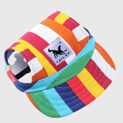 https://cdn.shopify.com/s/files/1/0763/9767/4819/files/Casquette_pour_chien_colore_multi-colore.png?v=1744206853