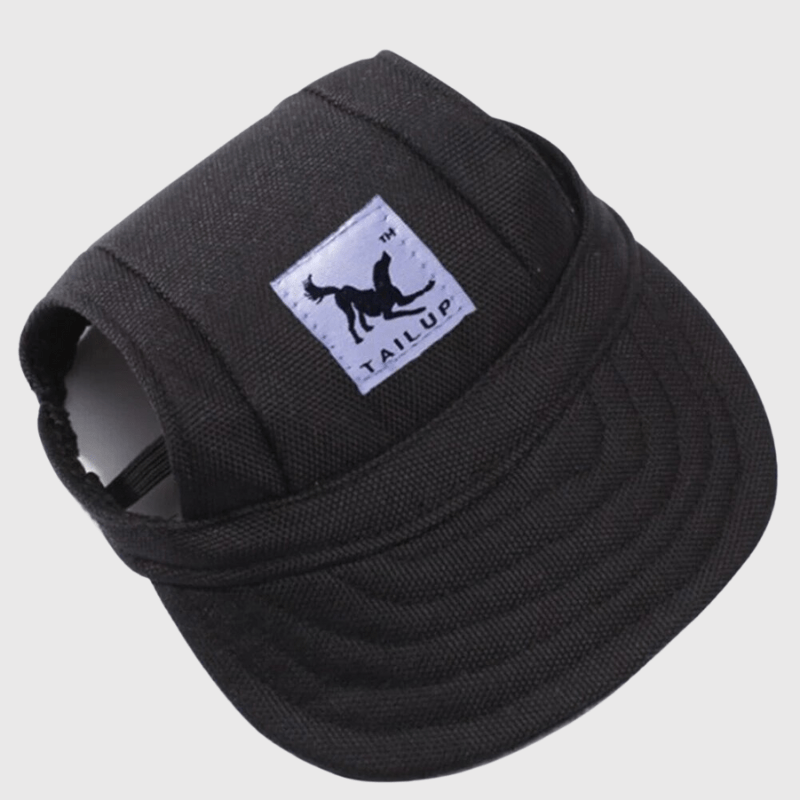 https://cdn.shopify.com/s/files/1/0763/9767/4819/files/Casquette_pour_chien_colore_noir.png?v=1744206853