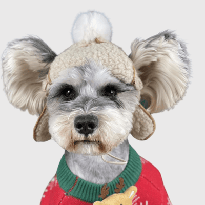 https://cdn.shopify.com/s/files/1/0763/9767/4819/files/Casquette_pour_chien_en_laine_caniche.png?v=1698081398