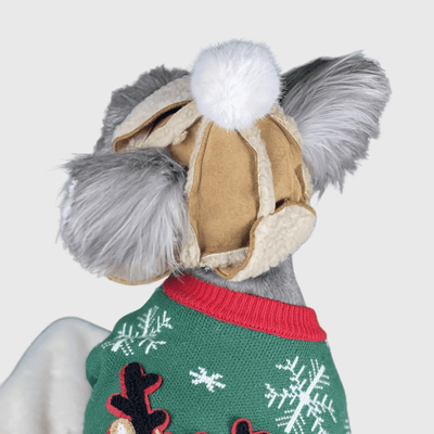 https://cdn.shopify.com/s/files/1/0763/9767/4819/files/Casquette_pour_chien_en_laine_dos.png?v=1698081397