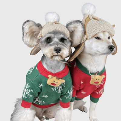 https://cdn.shopify.com/s/files/1/0763/9767/4819/files/Casquette_pour_chien_en_laine_shiba.png?v=1698081398