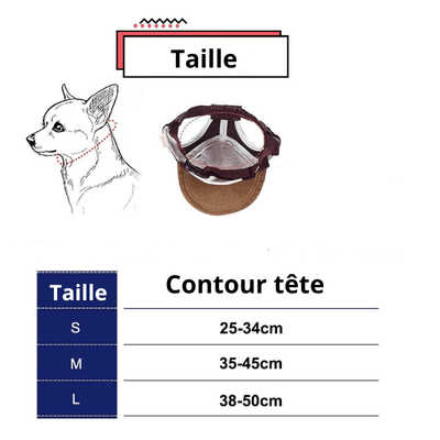 https://cdn.shopify.com/s/files/1/0763/9767/4819/files/Casquette_pour_grand_chien_taille.png?v=1744210083