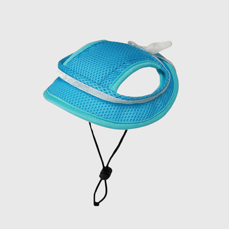 https://cdn.shopify.com/s/files/1/0763/9767/4819/files/Casquette_pour_petit_chien.png?v=1729270157