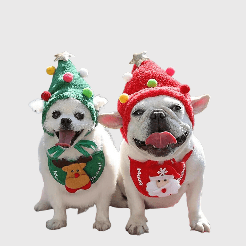 https://cdn.shopify.com/s/files/1/0763/9767/4819/files/Casquette_pour_petit_chien_fete_de_fin_d_annee_bouledogue.png?v=1698149142