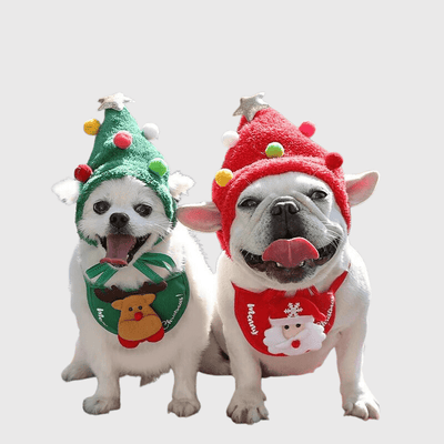https://cdn.shopify.com/s/files/1/0763/9767/4819/files/Casquette_pour_petit_chien_fete_de_fin_d_annee_bouledogue.png?v=1698149142