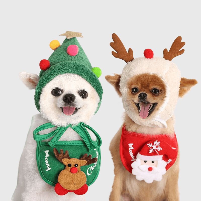 https://cdn.shopify.com/s/files/1/0763/9767/4819/files/Casquette_pour_petit_chien_fete_de_fin_d_annee_caniche.png?v=1698149146
