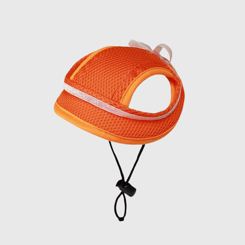 https://cdn.shopify.com/s/files/1/0763/9767/4819/files/Casquette_pour_petit_chien.png?v=1729270157