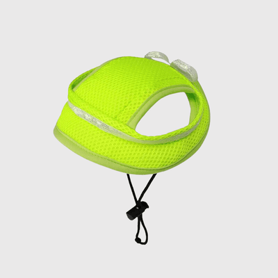 https://cdn.shopify.com/s/files/1/0763/9767/4819/files/Casquette_pour_petit_chien_vert.png?v=1729270197