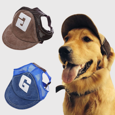 https://cdn.shopify.com/s/files/1/0763/9767/4819/files/Casquette_pourgrand_chien_modele.png?v=1744210083