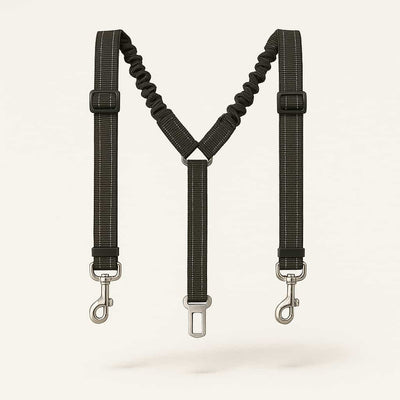 https://cdn.shopify.com/s/files/1/0923/9910/8483/files/Ceinture_De_S_curit_Double_Pour_Chien.jpg?v=1747522127