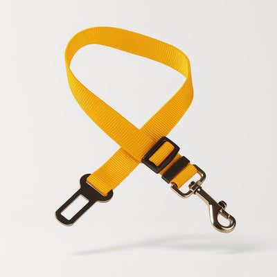 https://cdn.shopify.com/s/files/1/0923/9910/8483/files/Ceinture_De_S_curit_Pour_Chien.jpg?v=1747582220