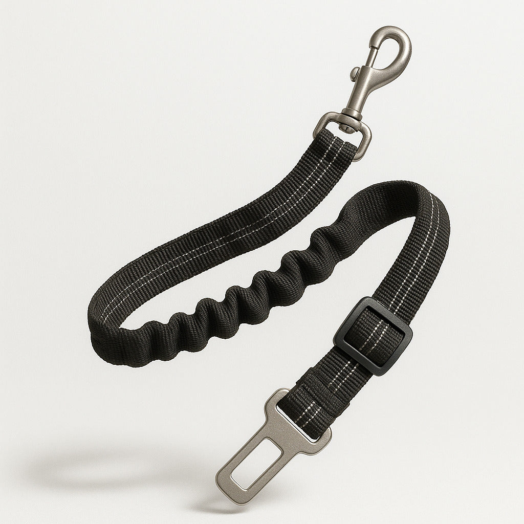https://cdn.shopify.com/s/files/1/0923/9910/8483/files/Ceinture_De_S_curit_Pour_Chien_Amortissante.jpg?v=1747371418