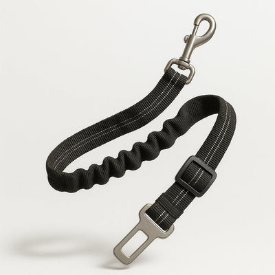 https://cdn.shopify.com/s/files/1/0923/9910/8483/files/Ceinture_De_S_curit_Pour_Chien_Amortissante.jpg?v=1747371418