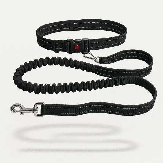 https://cdn.shopify.com/s/files/1/0923/9910/8483/files/Ceinture_Laisse_Main_Libre_Pour_Chien.jpg?v=1747591876