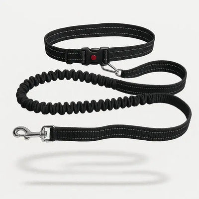 https://cdn.shopify.com/s/files/1/0923/9910/8483/files/Ceinture_Laisse_Main_Libre_Pour_Chien.jpg?v=1747591876