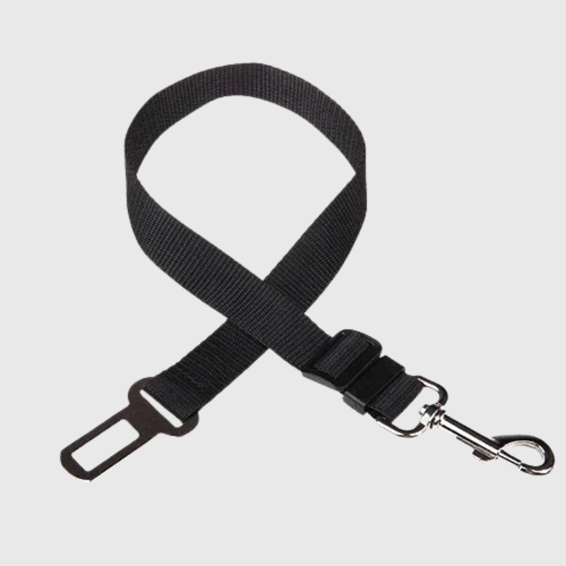 https://cdn.shopify.com/s/files/1/0763/9767/4819/files/Ceinture_chien_voiture.png?v=1729873006